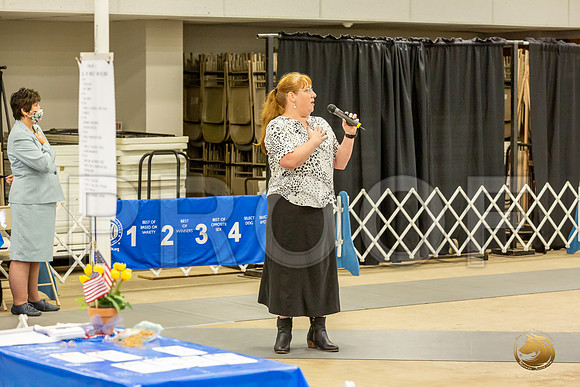 *Candids Fri_JJL_8790_Bellville2020_HR3