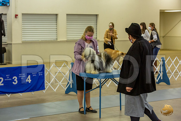 *Candids Fri_JJL_8795_Bellville2020_HR3