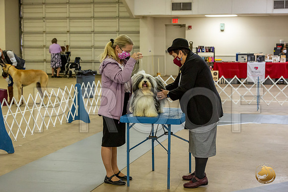 *Candids Fri_JJL_8796_Bellville2020_HR3