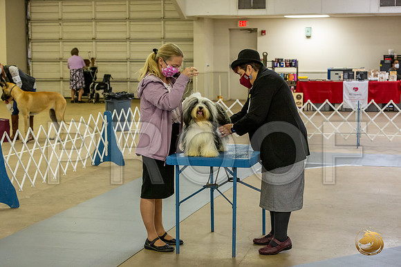 *Candids Fri_JJL_8797_Bellville2020_HR3