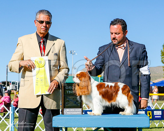_ST_3318-2-AlamogordoOct2014-HR3