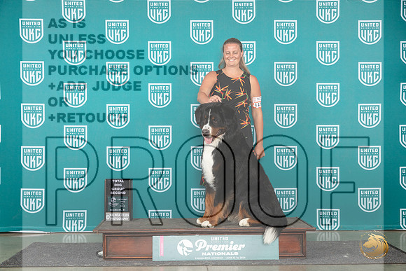 Bernese Mountain Dog #1173 Sat TDG2 Judge Carianna Glenn__JP_2712_Premier_2024_HR3