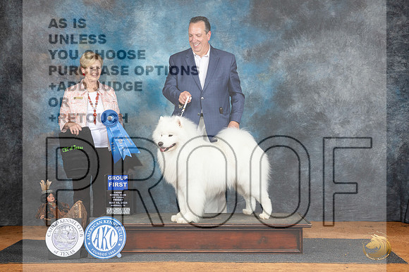 Samoyed #5 Fri G1 Judge Karen Hynnek__JP_7272_MARSHALL_2024_HR3