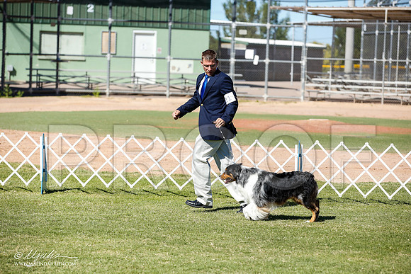 _JN_8637-AlamogordoOct2014-HR3