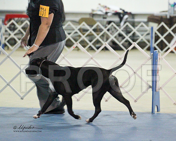 APBT-9647