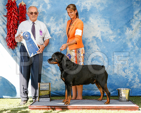 _ST_3054-2-AlamogordoOct2014-HR3