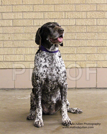 GSP-0155