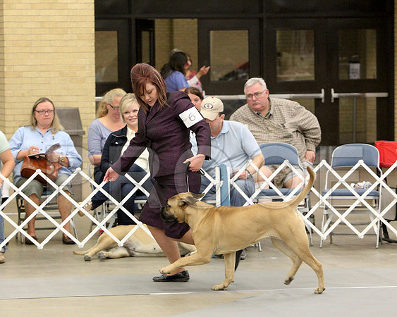 6-9Pup-8386