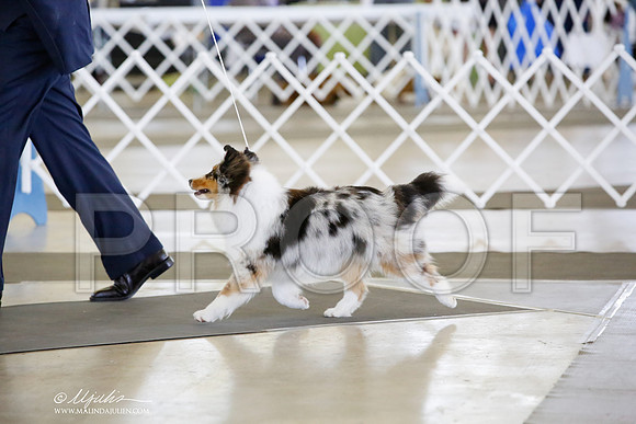 _CK_1216-DallasJul2014-HR3