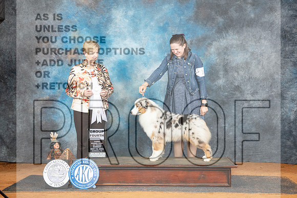 Australian Shepherd #14 Sun G4 Judge Karen Hynek__JP_8682_MARSHALL_2024_HR3