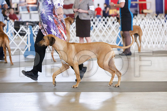 _JJ_0937-DallasJul2014-HR3