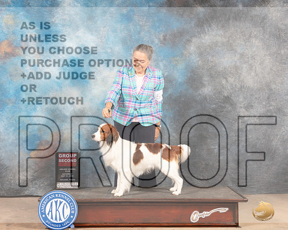 Kooikerhondje #5 Sat G2 Judge Pat Trotter-MMJ_4140-Abilene2022-HR3