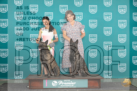 Dutch Shepherd #793 Sun BP Judge Carianna Glenn__JP_2946_Premier_2024_HR3