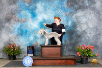 Bedlington Terrier #8 Sat BPIS Judge Wendy G Willhauck