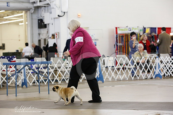 _HR_2727-DallasJul2014-HR3