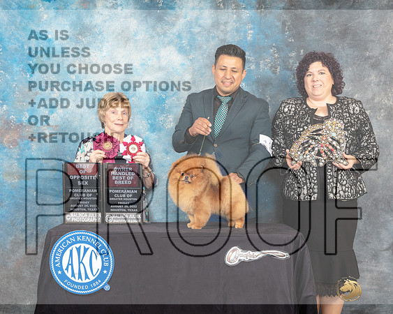 Pomeranian #12 Fri2 BOSOHBOB Judge Sharon Masnick-_MJ_9760e-HR3