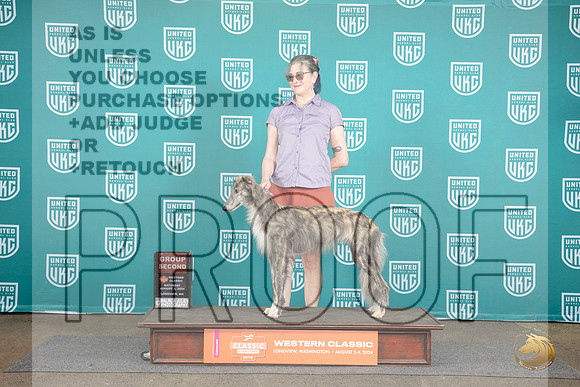 Silken Windhound #431 Sun BOW BOB Judge Matt Proctor__JP_1695_Longview WA_2024_HR3