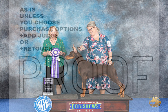 Doberman #15 WED RWD Judge Alisa Brotherhood__JP_6687_Houston_2024_HR3