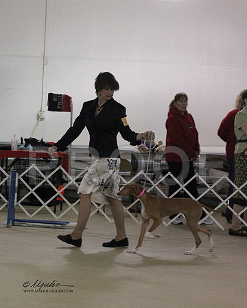 PupBIS-0009