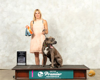 Cane Corso #1243 Sun URO1 Judge Kim Thomson