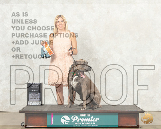 Cane Corso #1243 Sun URO1 Judge Kim Thomson__MJ_9015_Premier_2022_HR3