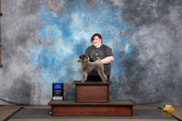 Poodle Miniature #? Fri No Judge
