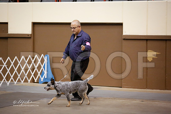 ACD-2236-SANov13-HR