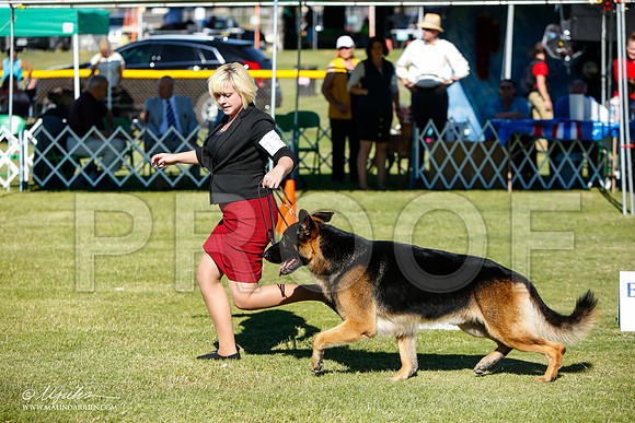 _JJ_6207-AlamogordoOct2014-HR3