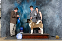 Akita #12 Fri G1 Judge Charles Olvis