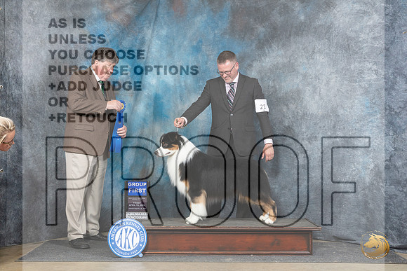 Australian Shepherd #21 Fri G1 Judge Charles Olvis__JP_4356_Fayetteville2024_HR3