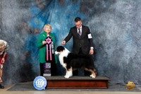 Australian Shepherd #21 Fri RBIS Carol White Moser