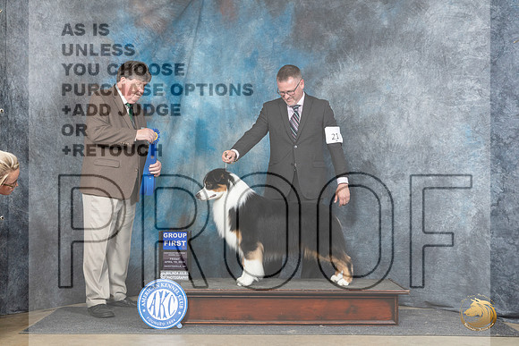 Australian Shepherd #21 Fri G1 Judge Charles Olvis__JP_4357_Fayetteville2024_HR3