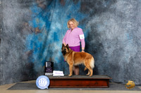 Belgian Tervuren #6 Fri OHG4 Judge Elizabeth Muthard