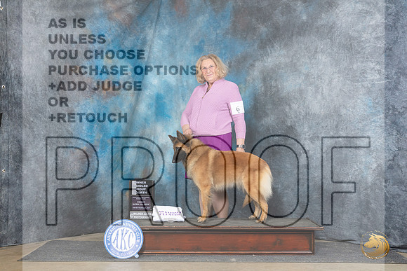 Belgian Tervuren #6 Fri OHG4 Judge Elizabeth Muthard__JP_4229_Fayetteville2024_HR3