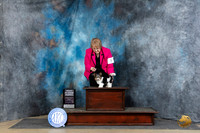 Biewer Terrier #5 Fri BPIS Judge Scott Toney