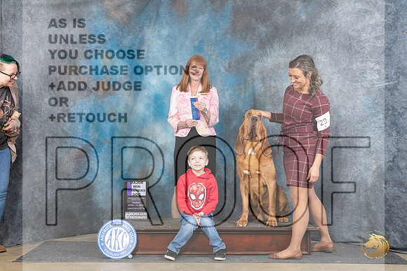 Bloodhound #19 Fri WDM Judge Linda Hurlebaus__JP_3943_Fayetteville2024_HR3
