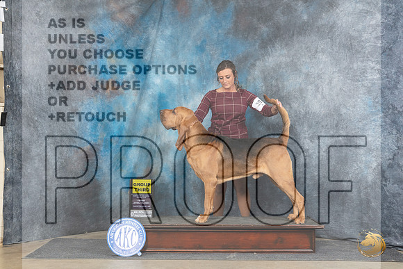 Bloodhound #29 Fri G3 Judge Carol Moser__JP_4254_Fayetteville2024_HR3