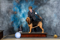 Bloodhound #8 Fri WBBOWBOS Judge Linda Hurlebaus