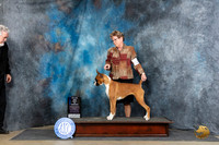 Boxer #12 Fri BOWM Judge Carolyn Herbel