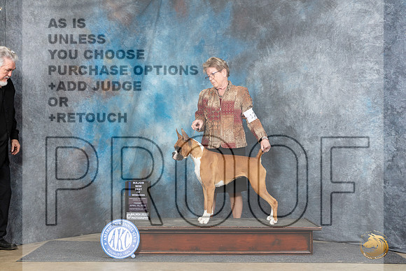 Boxer #12 Fri BOWM Judge Carolyn Herbel__JP_4027_Fayetteville2024_HR3