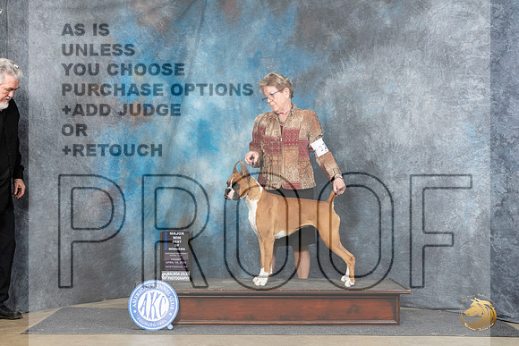 Boxer #12 Fri BOWM Judge Carolyn Herbel__JP_4028_Fayetteville2024_HR3