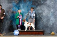 Brittany #5 Fri BIS Judge Carol White Moser