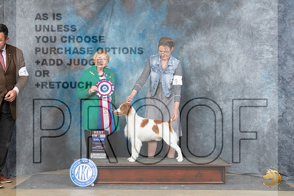 Brittany #5 Fri BIS Judge Carol White Moser__JP_4464_Fayetteville2024_HR3