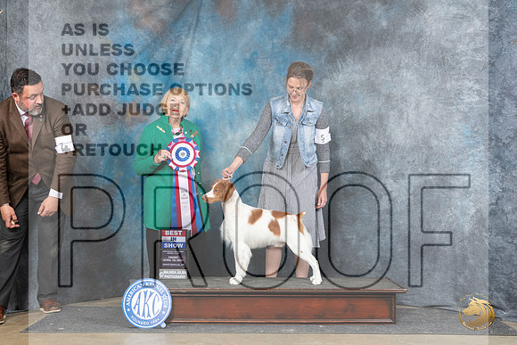 Brittany #5 Fri BIS Judge Carol White Moser__JP_4469_Fayetteville2024_HR3