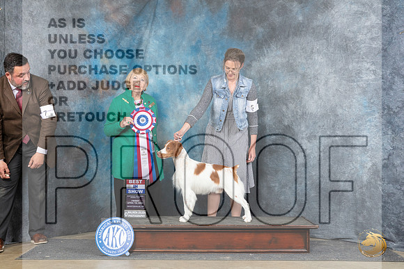 Brittany #5 Fri BIS Judge Carol White Moser__JP_4470_Fayetteville2024_HR3