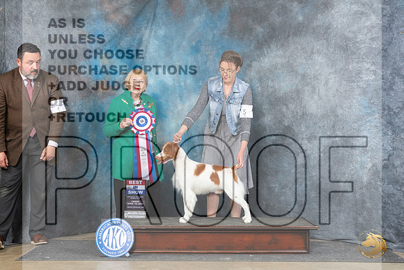 Brittany #5 Fri BIS Judge Carol White Moser__JP_4474_Fayetteville2024_HR3