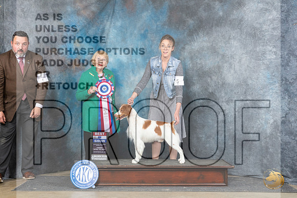 Brittany #5 Fri BIS Judge Carol White Moser__JP_4475_Fayetteville2024_HR3
