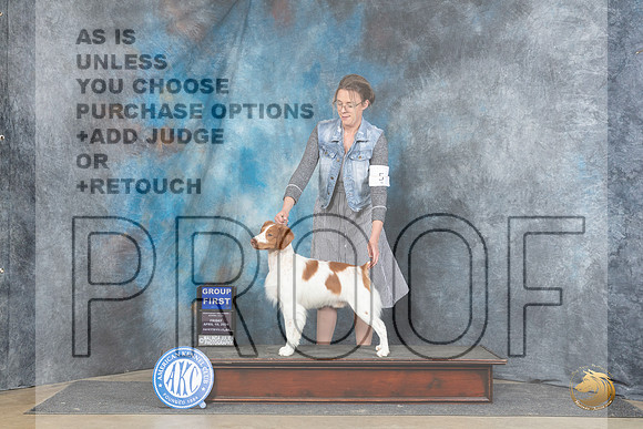 Brittany #5 Fri G1 Judge Charles Olvis__JP_4498_Fayetteville2024_HR3