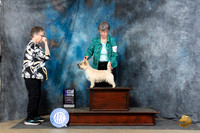 Cairn Terrier #10 Fri WBM Judge Carolyn Herbel