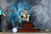 Cairn Terrier #20 Fri BOS Judge Carolyn Herbel